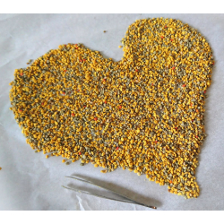 Pollen sec 500g